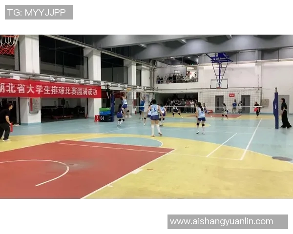 武汉排球队速度分析与提升策略探讨及其对比赛的影响