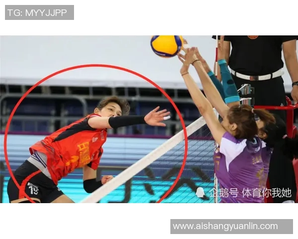 武汉攀岩队实力出众荣登全国攀岩实力排行榜第四名