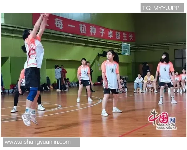 武汉排球队荣登排球速度排行榜首位展现卓越实力与团队合作精神